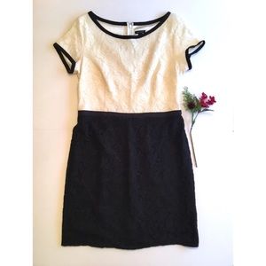 Ann Taylor Cream/Black Lace short sleeved Dress